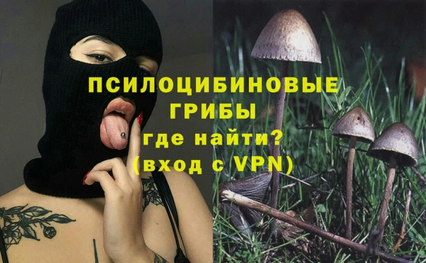 сатива Алексеевка